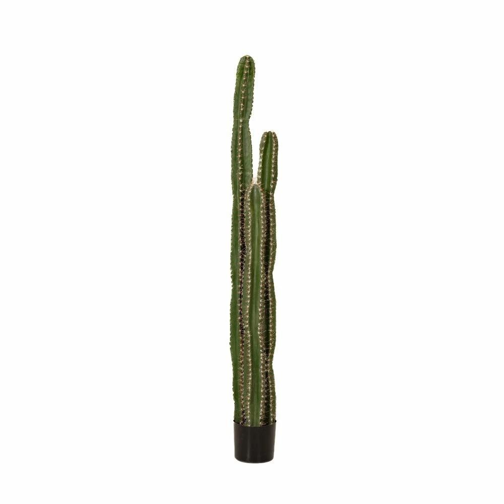 PIANTA CACTUS IN VASO 155CM